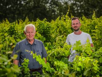 Guido en zoon Maxim maken biologische wijnen: “Wij gebruiken geen insecticiden en herbiciden waardoor er meer leven op het domein is”