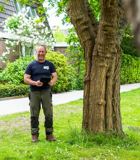 Boomverzorger Martin (50) lapt zieke bomen in Dordt op: ‘Een boom is net een mens’