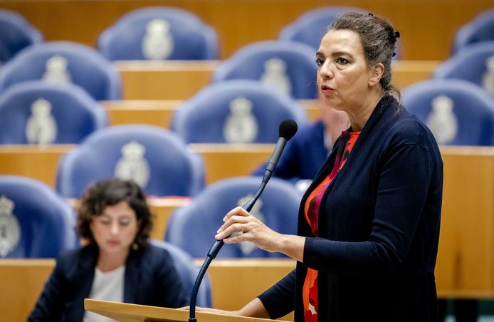 Isabelle Diks (GroenLinks) in november 2019 tijdens een debat in de Tweede Kamer over de begroting van Defensie.