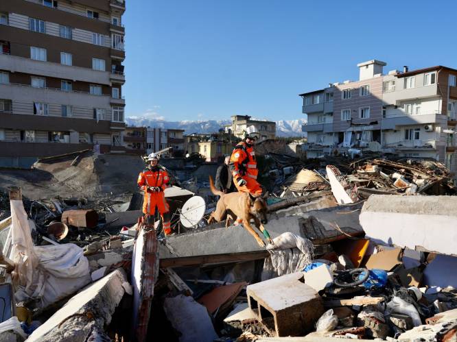 Zwangere vrouw na 115 uur nog levend vanonder het puin gehaald in Turkije, dodentol aardbeving stijgt tot 24.000