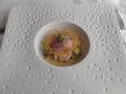 Het voorgerecht: hamachi met yuzu, avocado en komkommer.