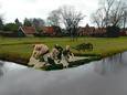 De Bleek in Losser toen er nog voldoende water was. Het water werd gebruikt om te wassen. Op het gras kon de was bleken en drogen.