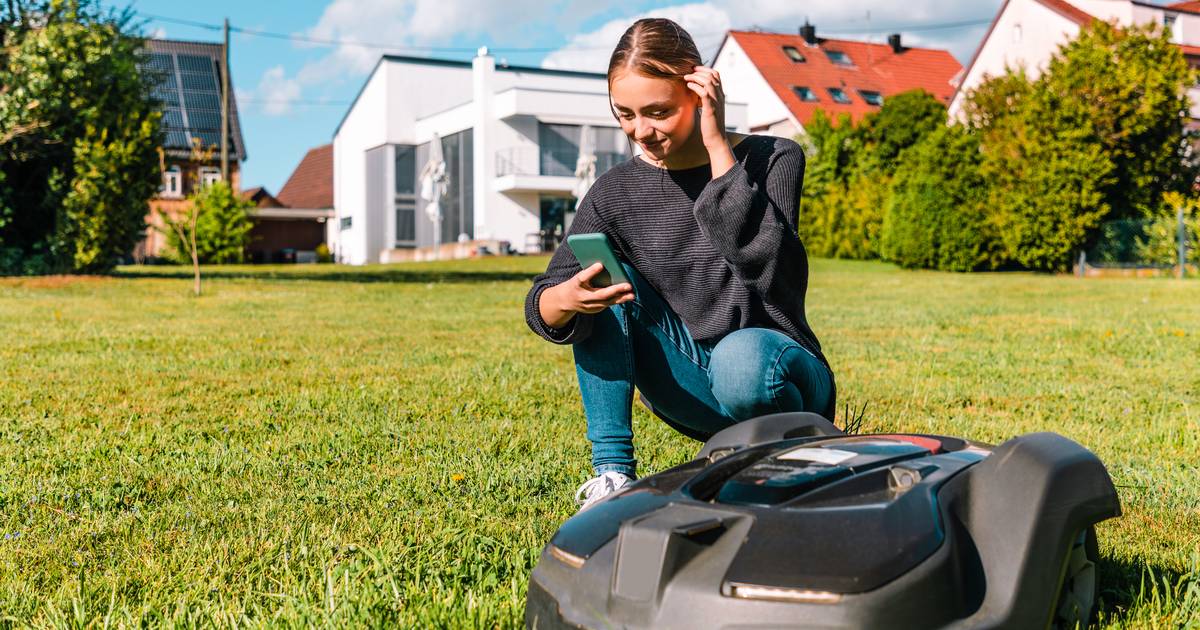Leia Stewart Island Odysseus Kies je voor een robotgrasmaaier dan kies je voor gemak: deze komt als  beste uit de test | Consumentenbond | AD.nl