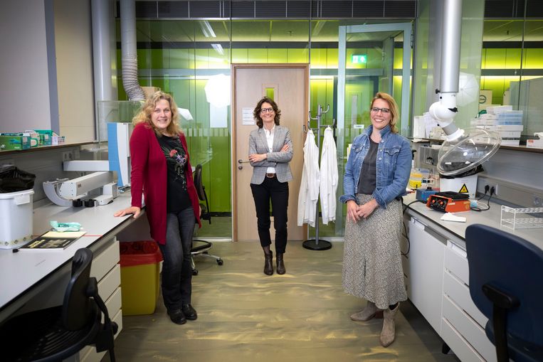 Hoogleraar toxicologie Juliette Legler (l), lector Cyrille Krul (m) en Anne Kienhuis van het RIVM werken aan een revolutionair onderzoek naar een dierproefvrije aanpak. Beeld Werry Crone