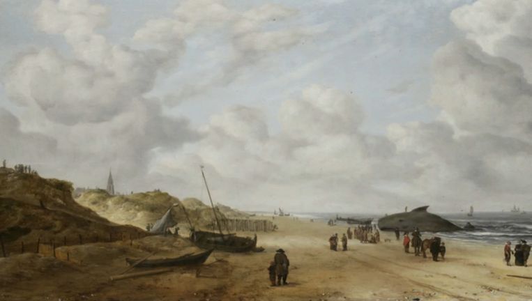 Schilderij van Hollandse meester blijkt na restauratie plots walvis te  bevatten | De Volkskrant