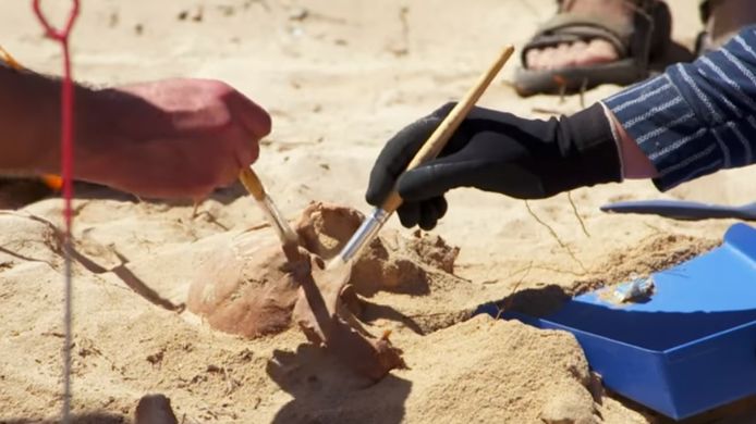 Enkele archeologen leggen een skelet bloot.