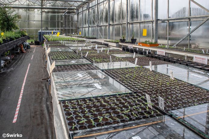 De vernieuwde bioboerderij De Loods in Aalst.