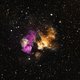 Robuuste ster overleeft supernova-explosie