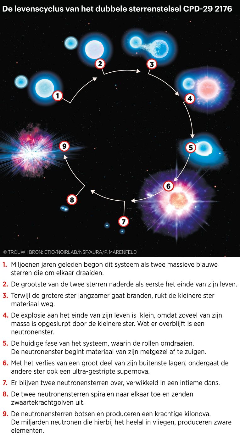 null Beeld Bart Friso