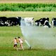 Het blijft droog en het water wordt schaarser: wat doet Nederland?