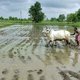 Dertig slachtoffers en honderduizenden op de vlucht door moesson in India
