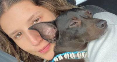 Delta Airlines raakt hond van passagier kwijt: “Ik leef in een nachtmerrie”