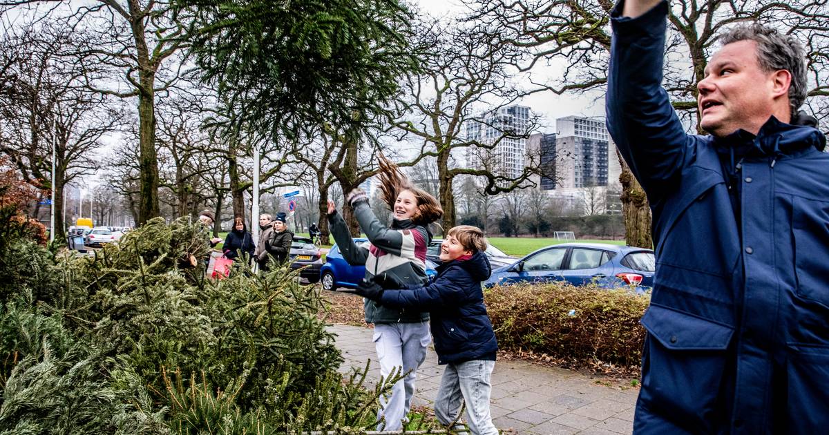 Kerstboom weg, en nu? ‘Wij zingen al carnavalsliedjes’ Eindhoven ed.nl