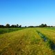 Veel veen moet natter, anders lukt het nooit om klimaatneutraal te worden