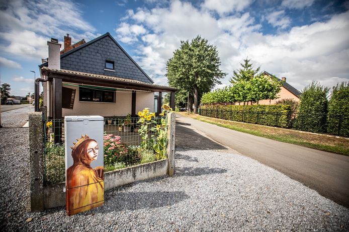 Sint-Catharina in de Sint-Catharinastraat van Wouter Op de Beeck.