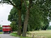 Stierenstrijd in Avezaath: provincie niet mals over gemeente Tiel