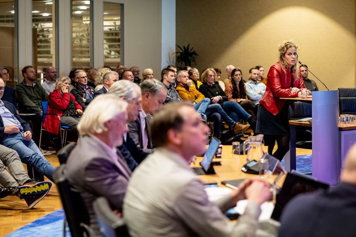 Huisarts Anneke Bodde sprak in december de gemeenteraad van Dinkelland toe over plannen om windturbines te plaatsen bij Denekamp.