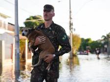 Inondations au Brésil: comment les “fake news” compliquent la tâche des équipes de secours