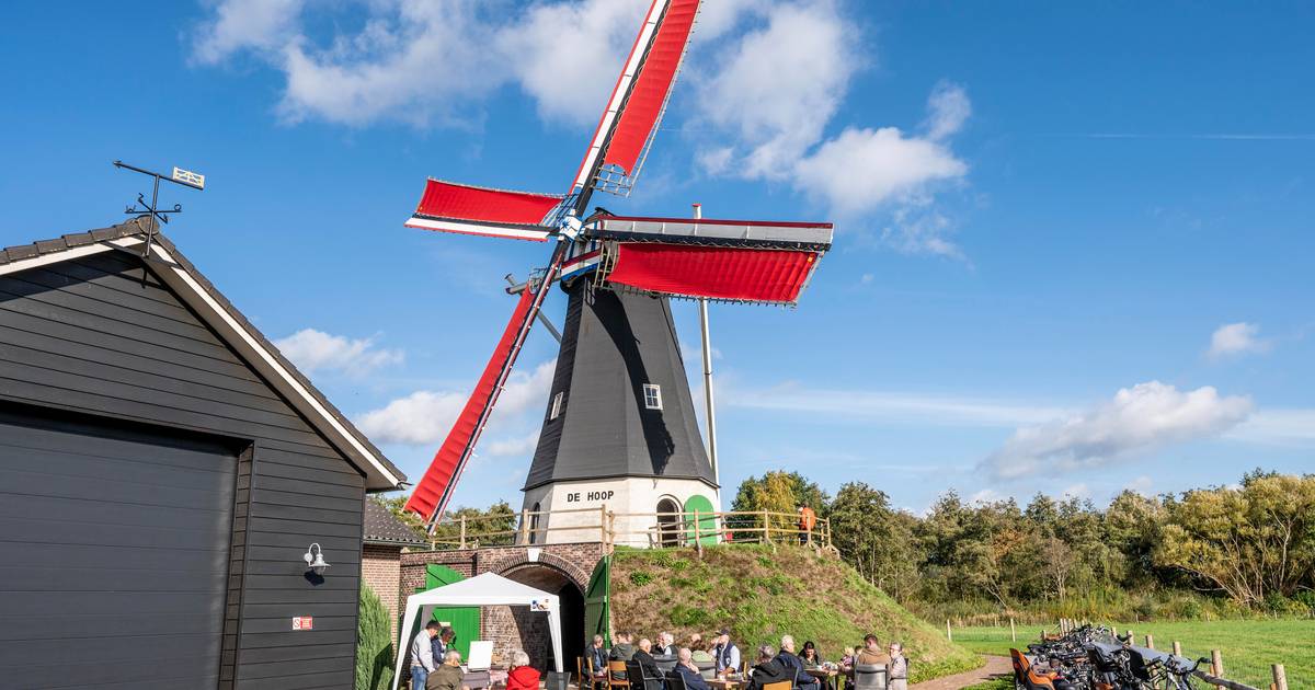 Jubileumjaar molenaars; nieuwe lichting ambachtslieden komt eraan | Uden, Veghel e.o. | bd.nl - BD.n