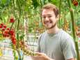 Daniël (26) ontwikkelt nieuwe tomatenrassen: ‘De planten voelen als mijn kindjes’ 