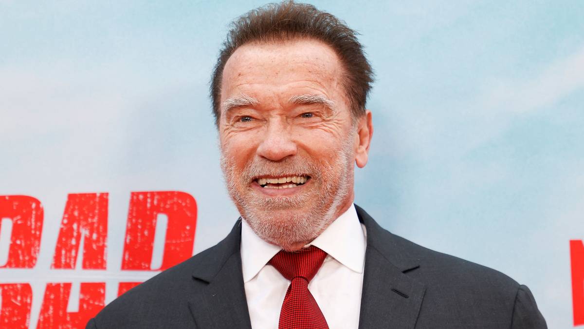 Arnold Schwarzenegger aangehouden op luchthaven München door douane | Show  | pzc.nl