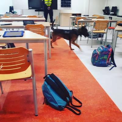 Drugshond betrapt twee scholieren op Het Assink in Neede