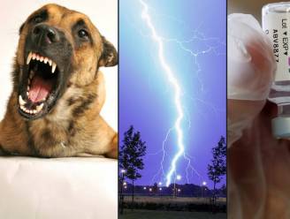 OVERZICHT. Kans is groter dat u sterft aan hondenbeet of blikseminslag dan aan vaccinatie met AstraZeneca