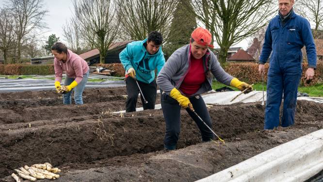 Dit wil Heusden voor arbeidsmigranten: Meer huizen, meer spreiding, meer toezicht
