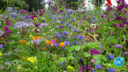 Biodiversiteit is belangrijk om het keurmerk te mogen dragen.