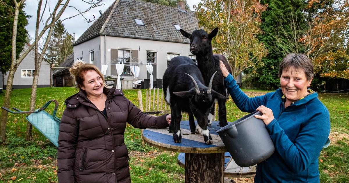 Plan voor kleinschalige zorglocatie in Welsum: ‘Zie mijn dochter niet gelukkig worden in drukke inst