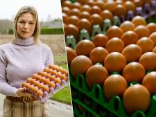 Le prix des œufs a augmenté de 119%: “Et ils vont devenir encore plus chers”