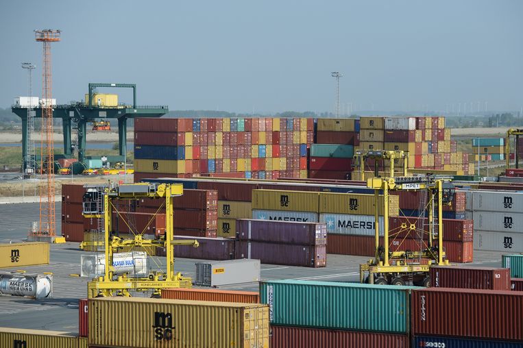 In de haven van Antwerpen is er voortdurend een kat-en-muisspel bezig tussen douane, smokkelaars en politie. Beeld BELGA
