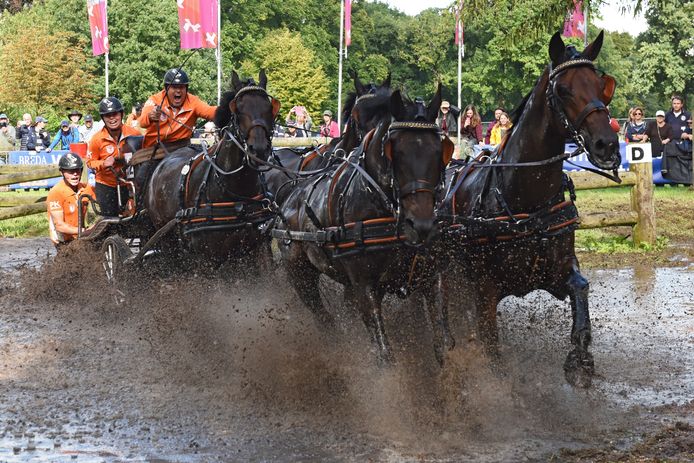 Ijsbrand Chardon aan de bak in de waterbak tijdens de marathon voor vierspannen.
Foto: Casper van Aggelen / Pix4Profs