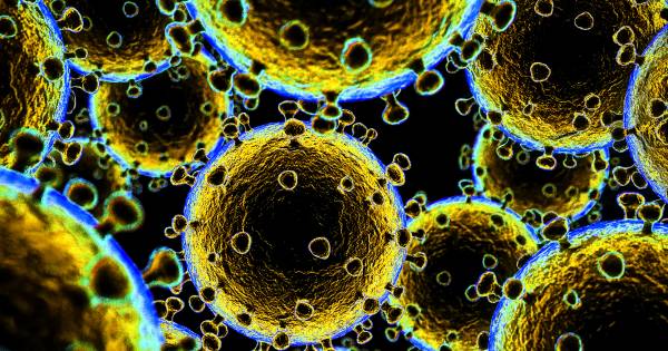 Korenmiddag in Mill uitgesteld uit vrees voor coronavirus - De Gelderlander