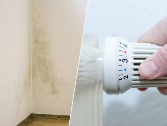 Verwarming uitdraaien om energiefactuur te drukken? Een slecht idee: “Koude temperaturen werken vochtproblemen in de hand" 