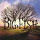 Review: Big Fish