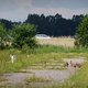 Veghel heeft de primeur: een heuse woonwijk voor Polen en andere arbeidsmigranten