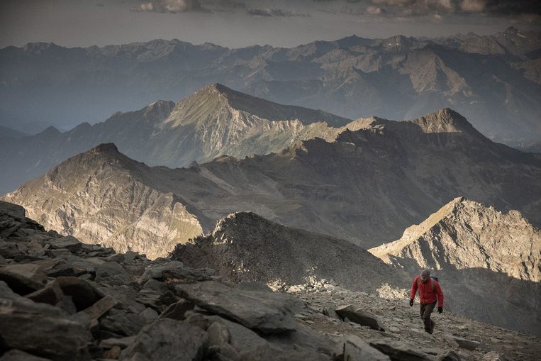 In The Eight Mountains, due amici tornano alla loro casa che hanno costruito insieme