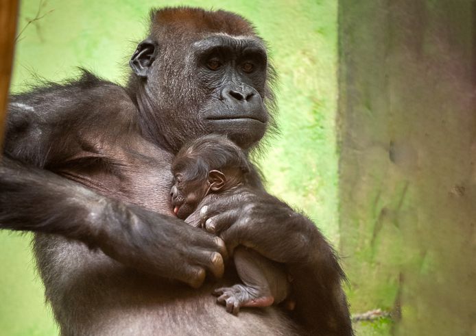 Mama Mayani met haar baby.