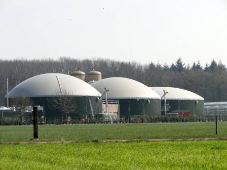 BioMoer Moerstraten kan niet uitbreiden: faillissement aangevraagd