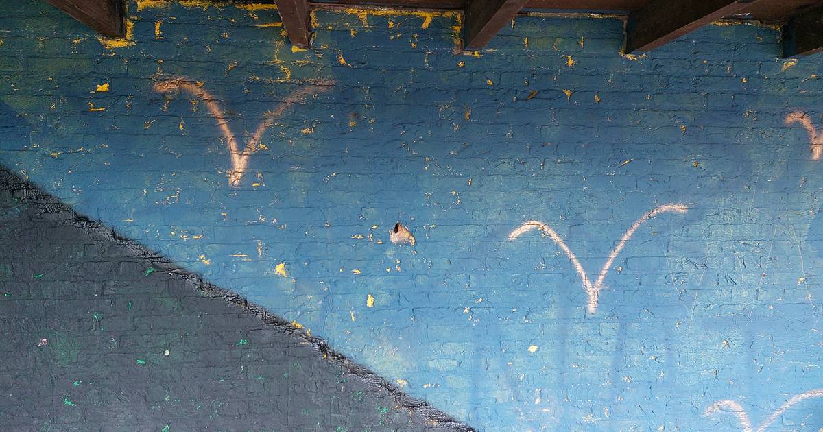 Jeugdontmoetingsplaats Vogelwaarde opgeknapt en kort daarna weer beklad: ‘Verschrikkelijk vind ik da