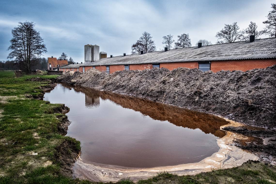 Hoe de Kempense afvalmaffia jarenlang haar gang kon gaan: ‘Ik rij met een dorser over je heen en steek je onder de grond’