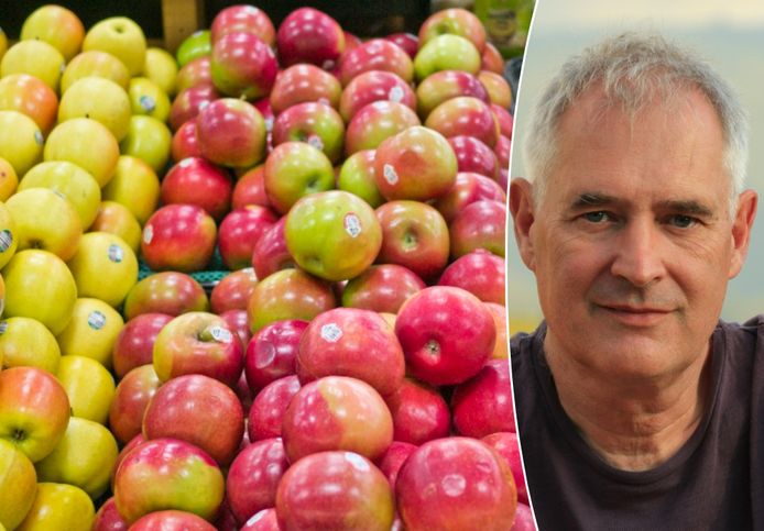 Dat blinkende laagje op appels is er niet toevallig, bio-ingenieur Bart Nicolai vertelt je er alles over