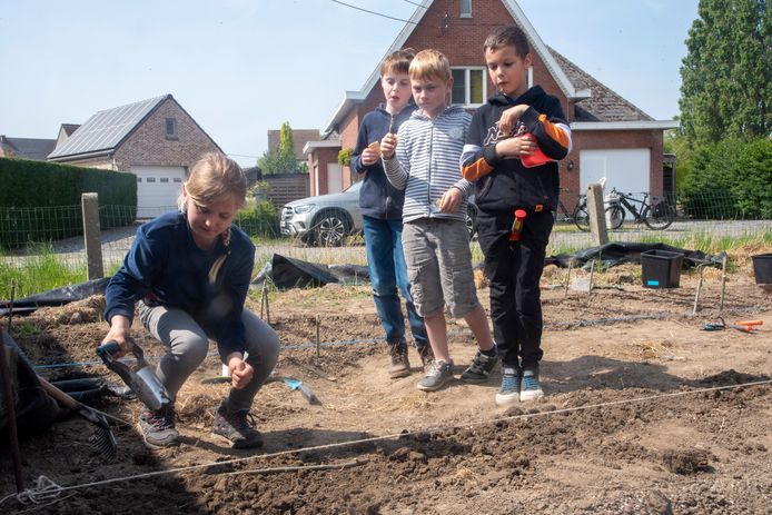 De leerlingen van De Meander planten zelf hun groenten aan.