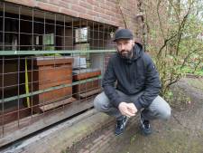 Imkers slaan alarm, grote aantallen bijen sterven plotseling: ‘Wat is er aan de hand?’