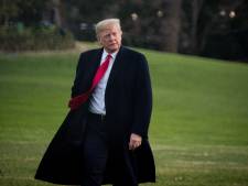 Donald Trump entend des voix: "Les gilets jaunes crient qu'ils me veulent"