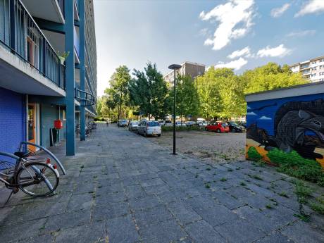 Water uit de Dommel voor warmte (en afkoeling) in flats: ‘Het moet voor de bewoners betaalbaar zijn’