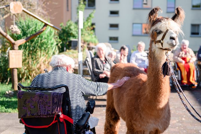 Le personnel du centre de soins résidentiels affirme que les résidents bénéficient grandement de la thérapie avec les animaux.