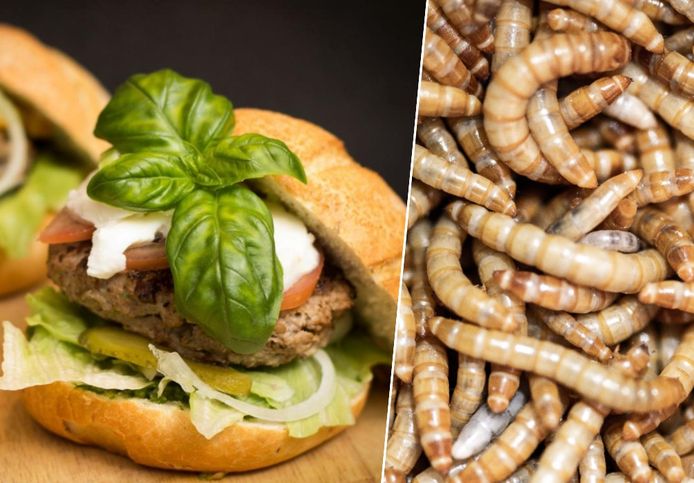 De meelwormburger kan je makkelijk zelf bereiden volgens het recept van insectenverkoper Maarten Debie.