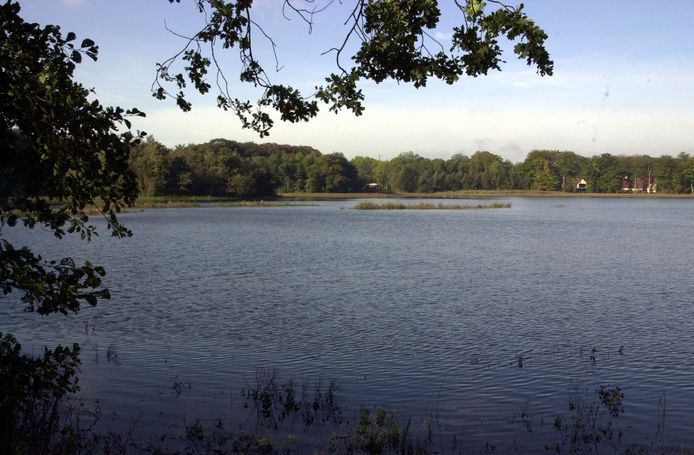 Wat ruist er door het struikgewas? Zondag natuurwandeling rond ...